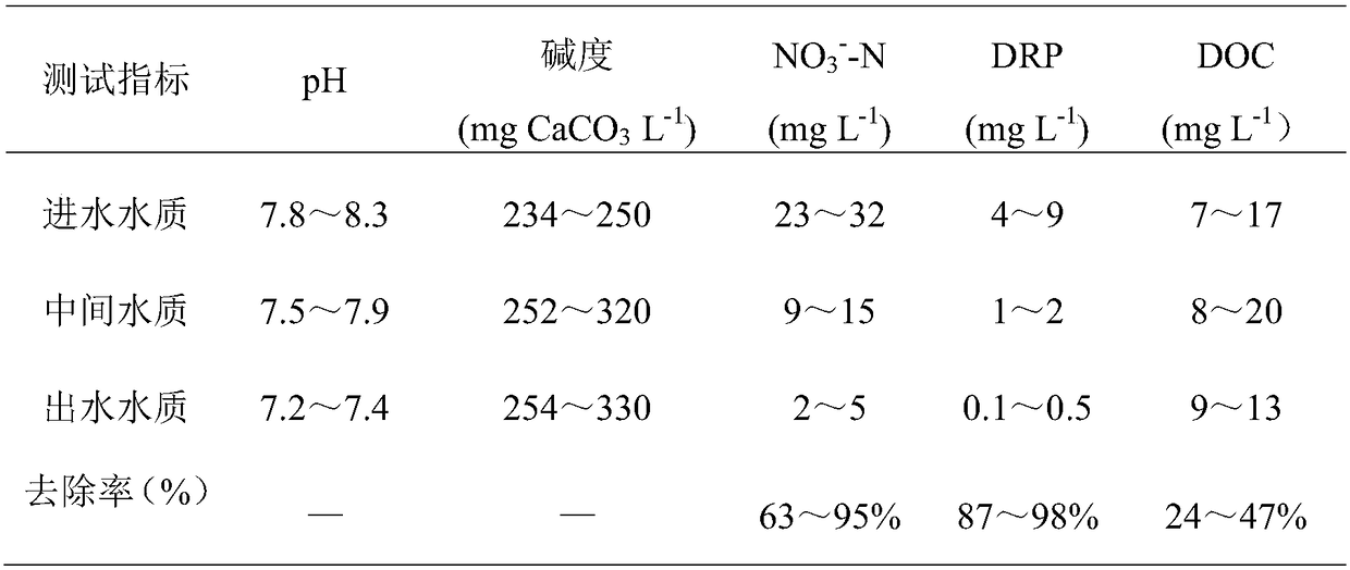 Waste water nitrogen and phosphorus removal apparatus and waste water treatment method