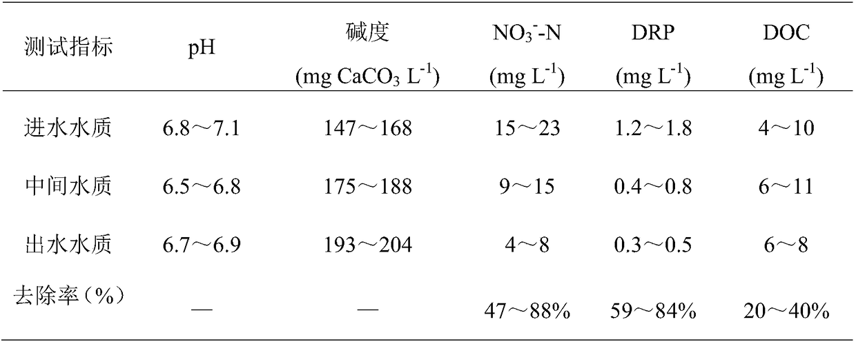 Waste water nitrogen and phosphorus removal apparatus and waste water treatment method