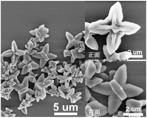 Azafluorene micromolecule based butterfly organic nanocrystal material, and preparation method and application thereof