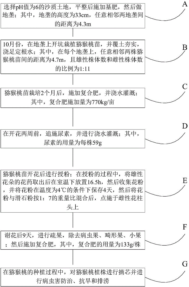 Method for planting kiwi fruits