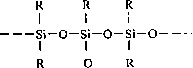 Paint of silicon-ceramic capable of resisting 900-1200 deg.C. organic high temp