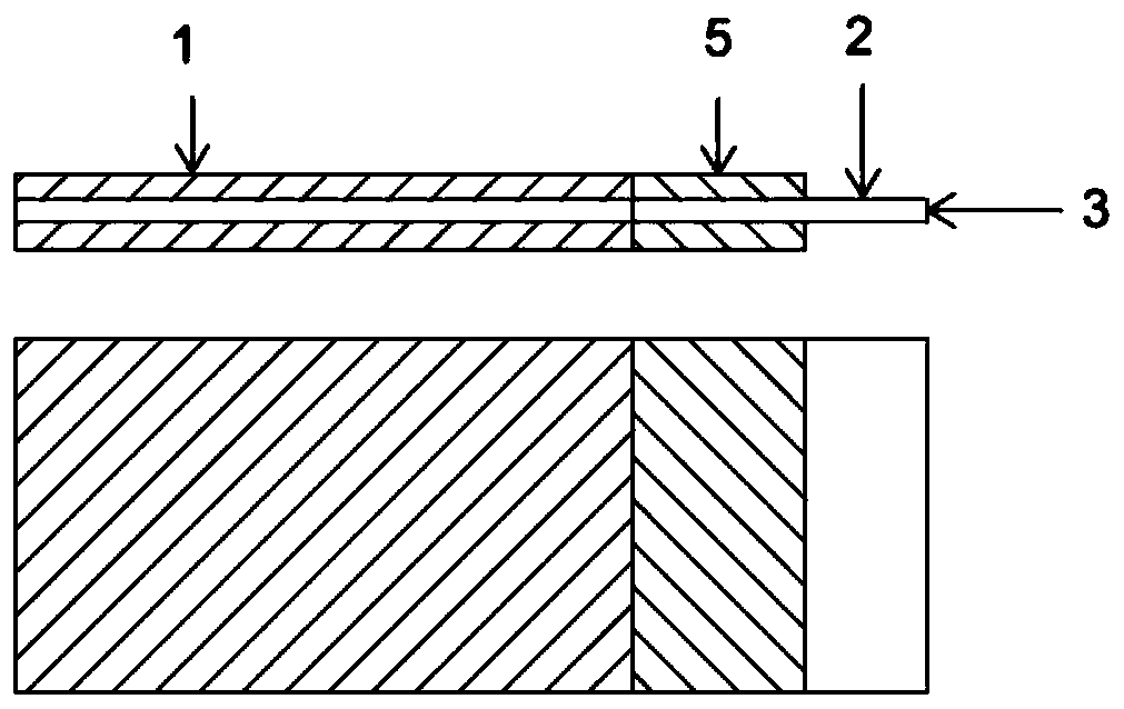 Electrode plate and electrochemical device comprising same