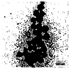 Organic and inorganic hybrid composite silver nanoparticle as well as preparation method and application of organic and inorganic hybrid composite silver nanoparticle