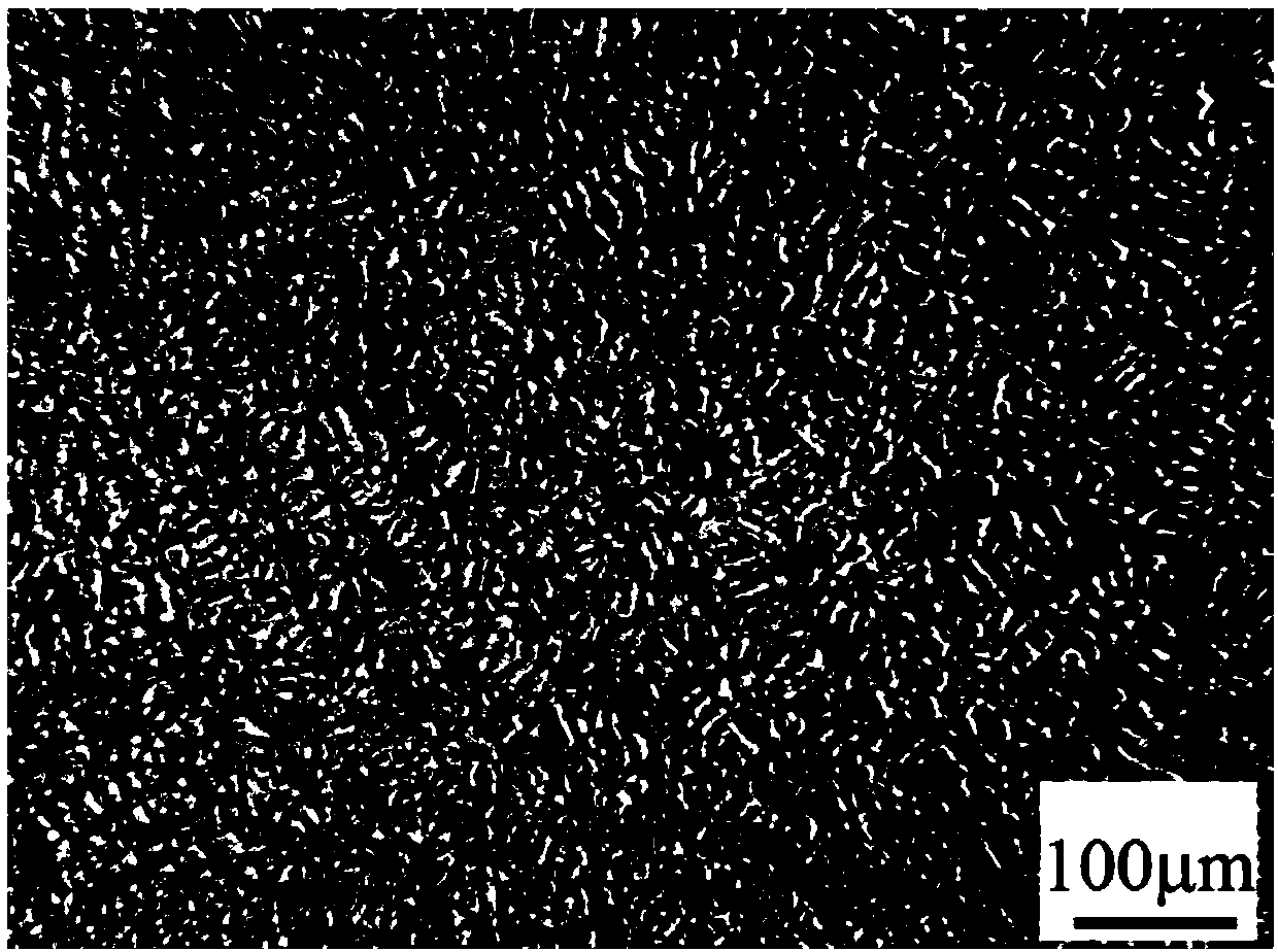 High-strength cat magnesium alloy and preparation method thereof