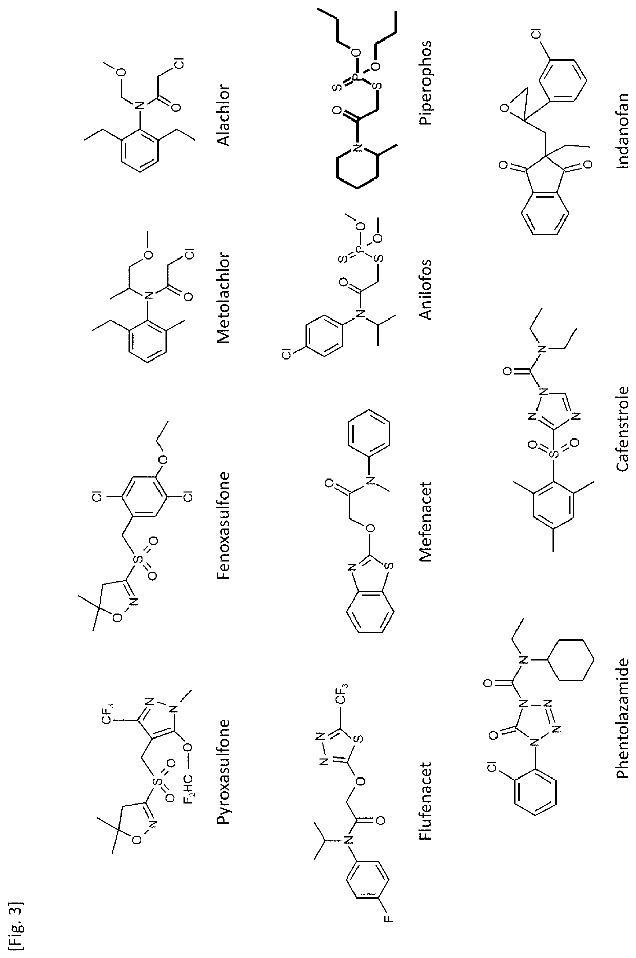 Transgenic plant having herbicide resistance