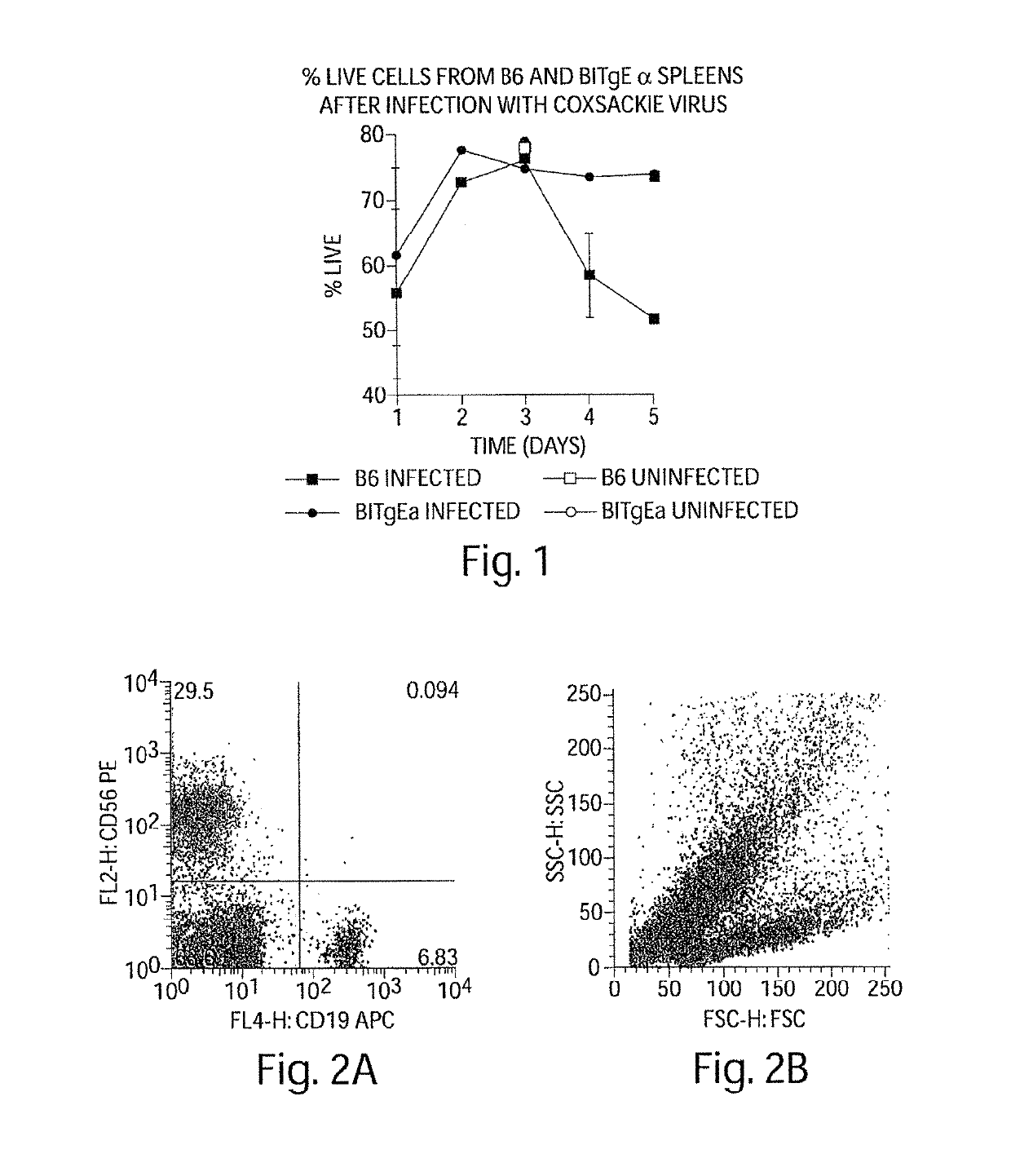 Competitive inhibitors of invariant chain expression and/or ectopic clip binding