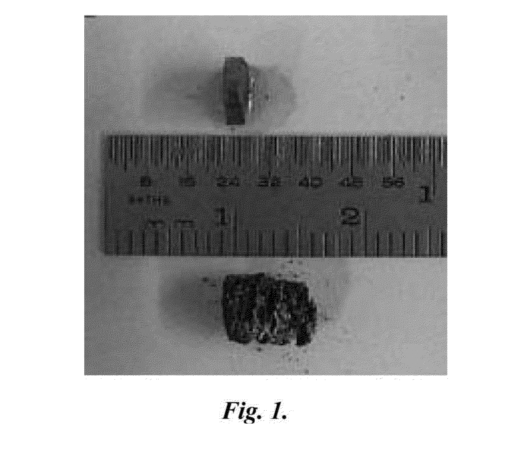 Antibacterial metallic nanofoam and related methods