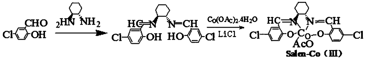 A kind of magnetic resolving agent and preparation method thereof