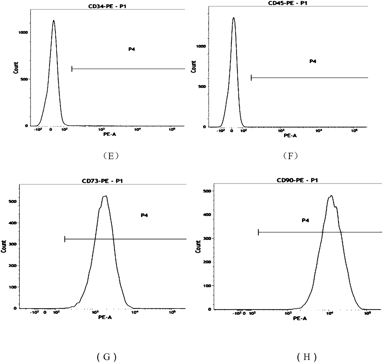 Novel application of stem cells and secretions thereof in treatment of skin burns and scalds