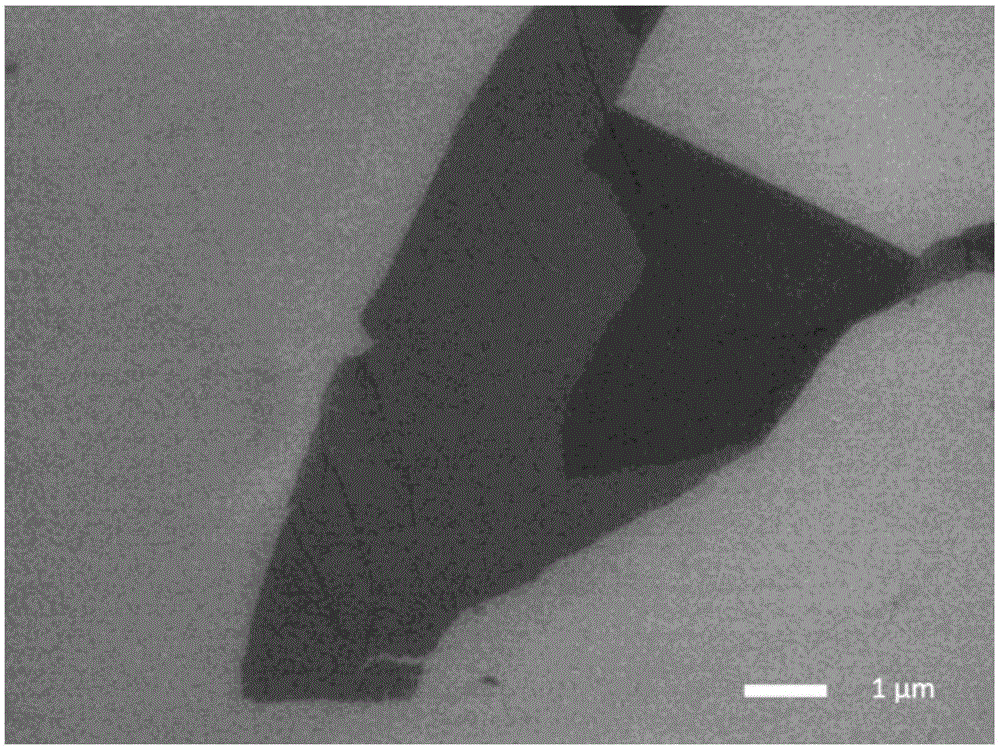 Preparation method and application of modified graphene oxide