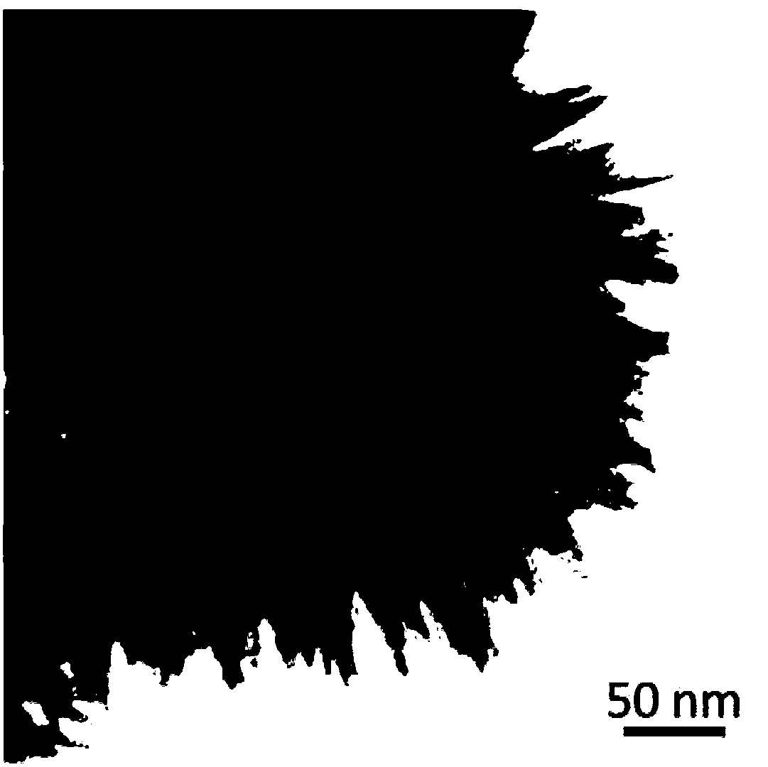 Preparation method and application of tantalum-based hierarchical structure hollow nanometer photocatalytic material