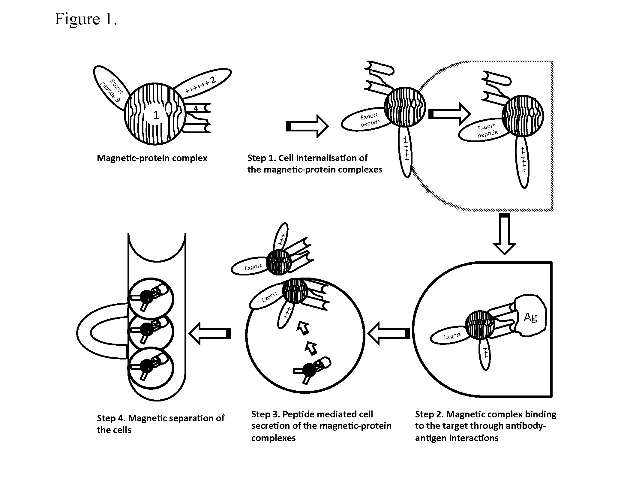 Intracellular cell selection