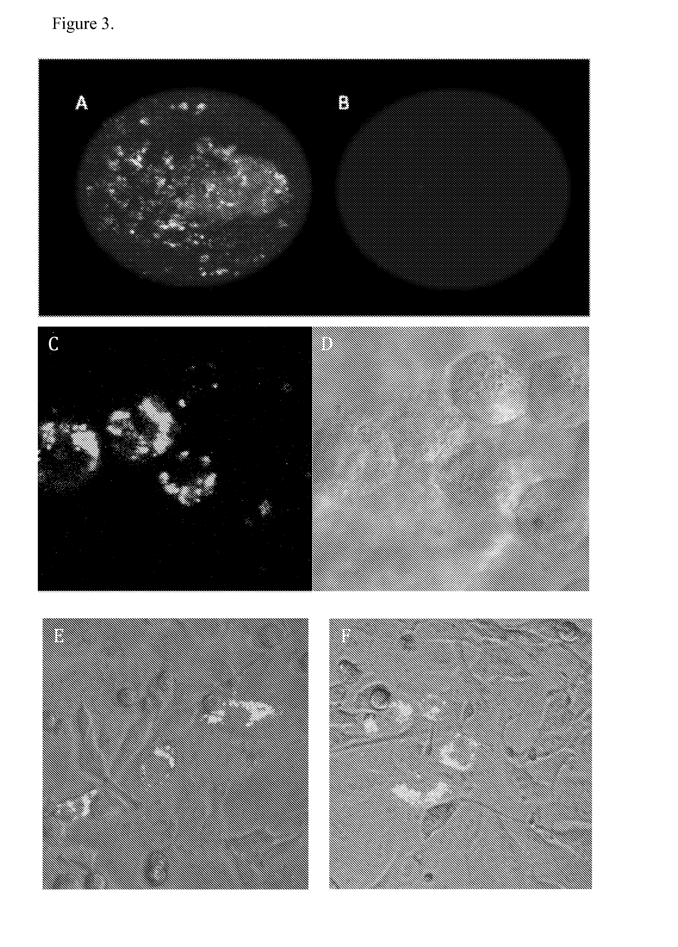 Intracellular cell selection