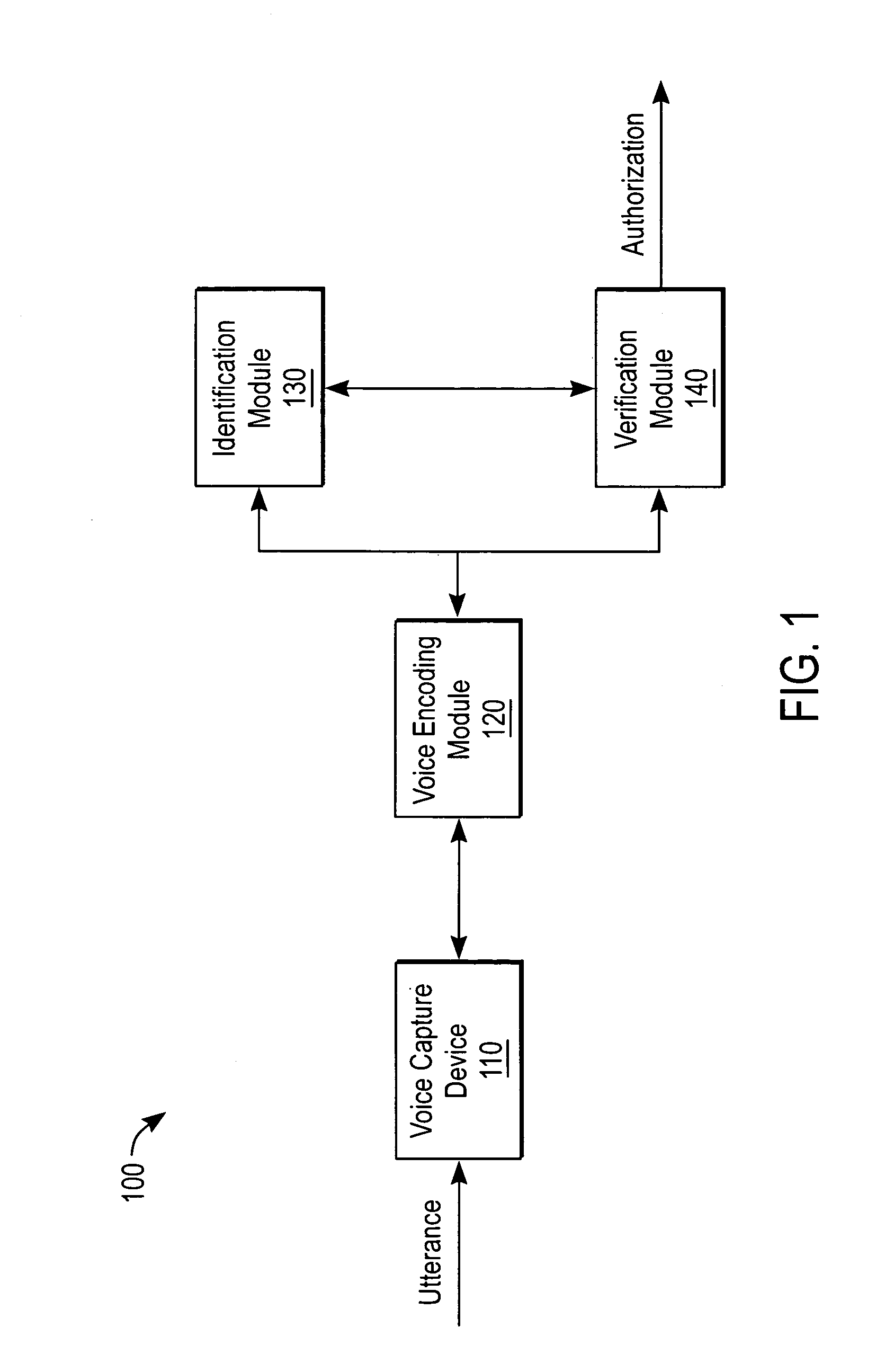 Biometric voice authentication