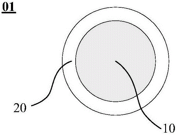 Conductive particle and preparation method thereof, conductive adhesive and display apparatus