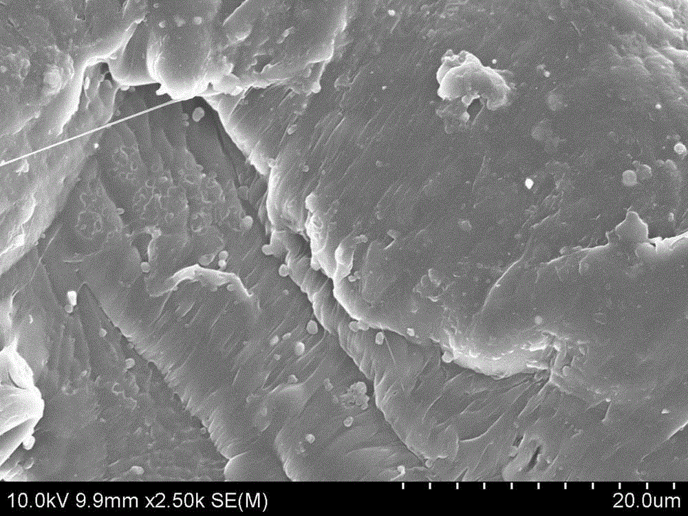 Method for preparing anti-bacterial plastic filament