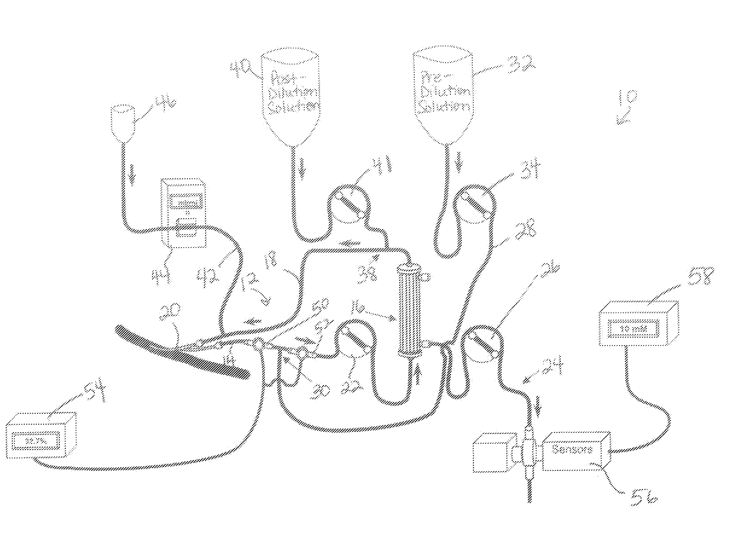 System and method for delivery of regional citrate anticoagulation to extracorporeal blood circuits