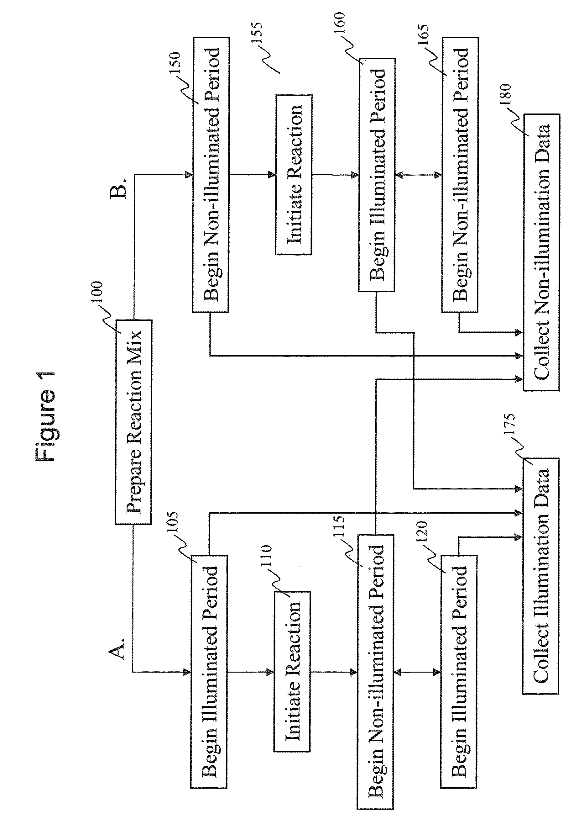 Intermittent detection during analytical reactions