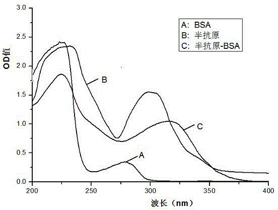 Synthetic method and application of universal hapten and antigen for phthalate plasticizer