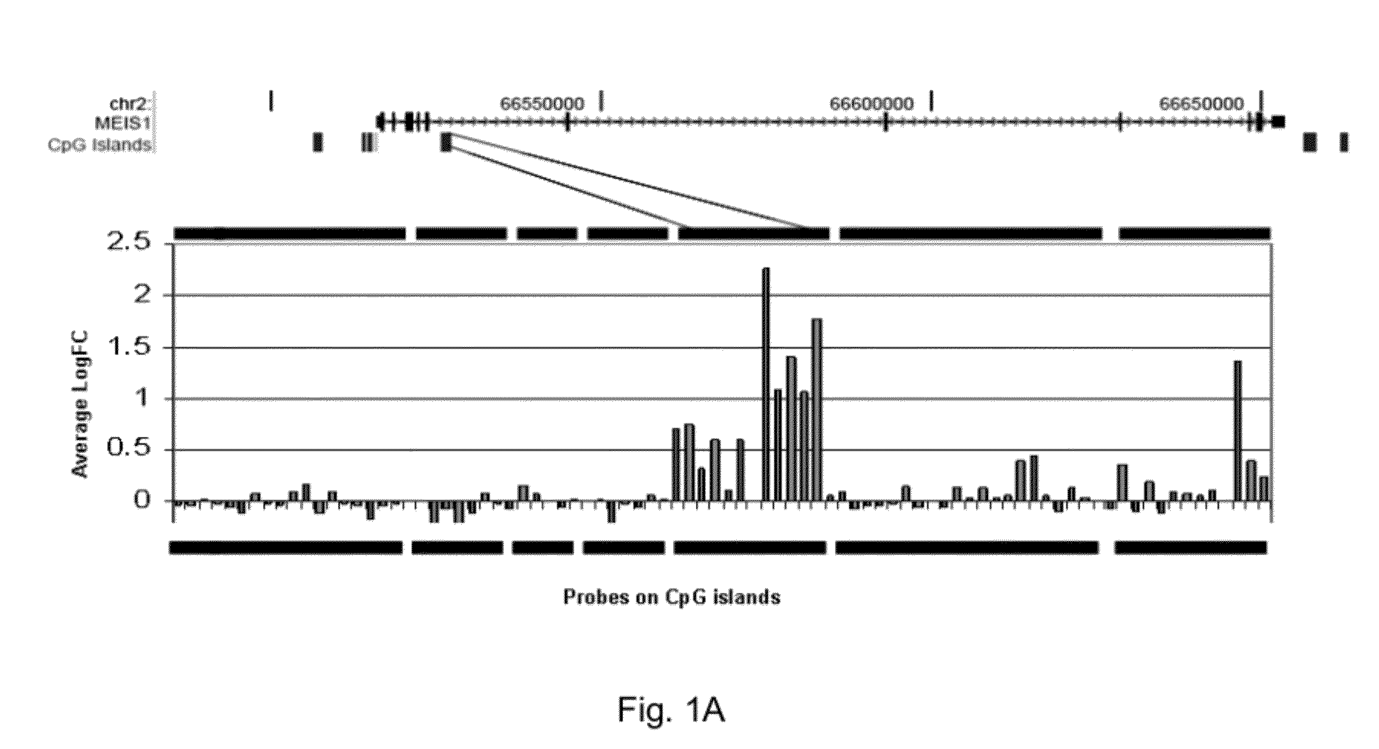 Method of diagnosing bladder cancer