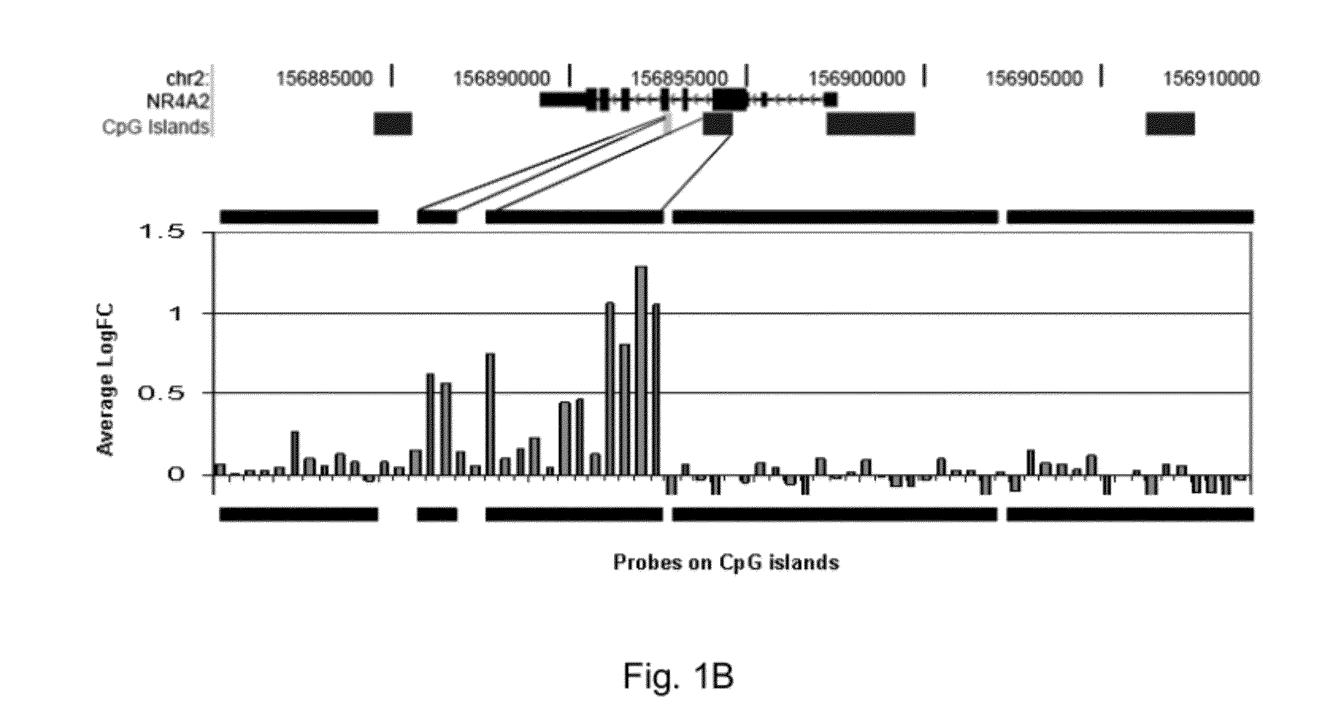 Method of diagnosing bladder cancer