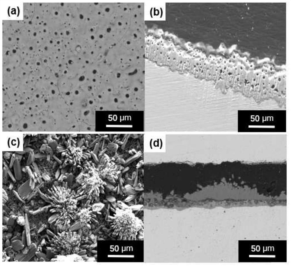 An implantable zinc-based alloy surface structure and its preparation method and application