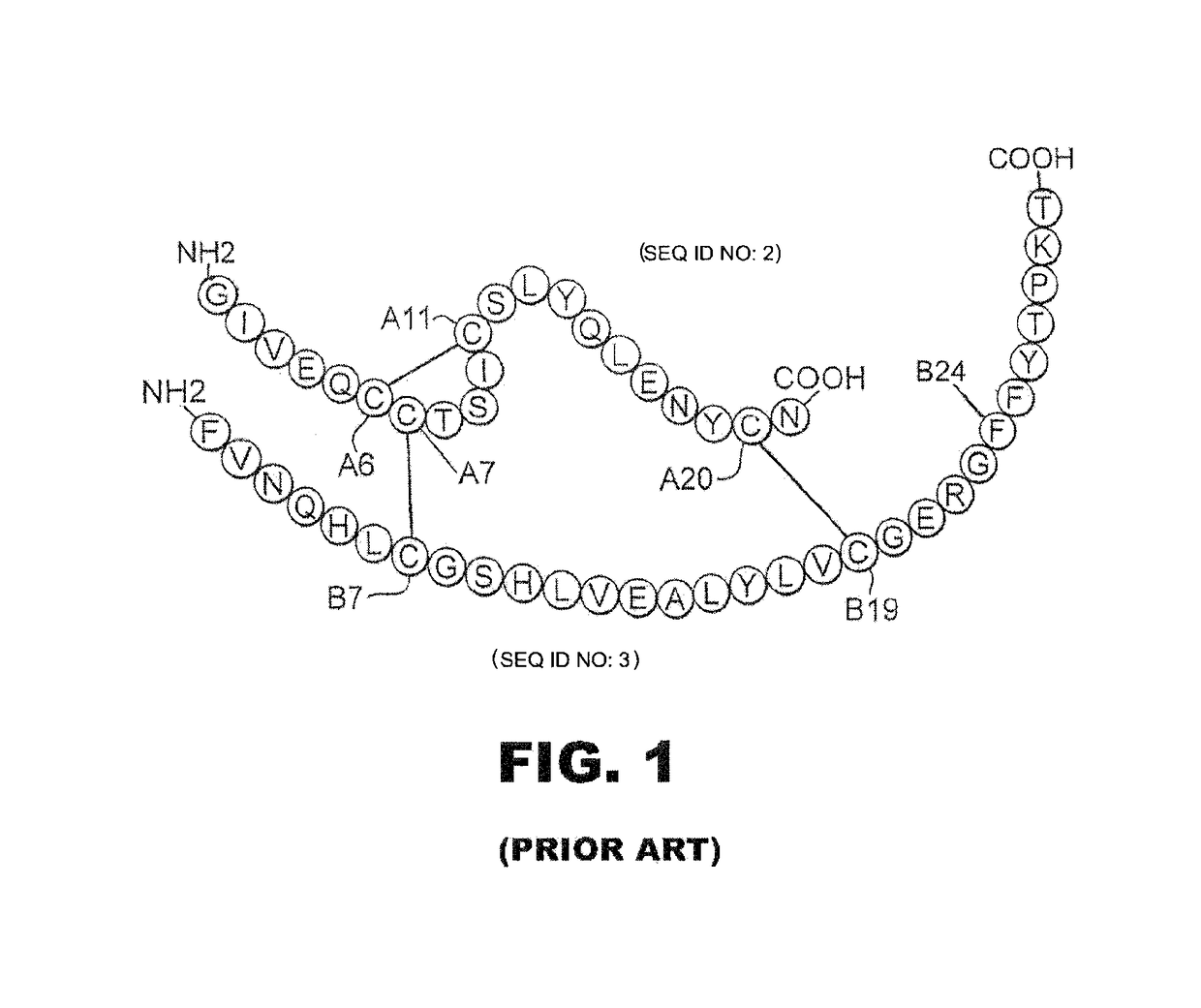 Ultra-concentrated rapid-acting insulin analogue formulations