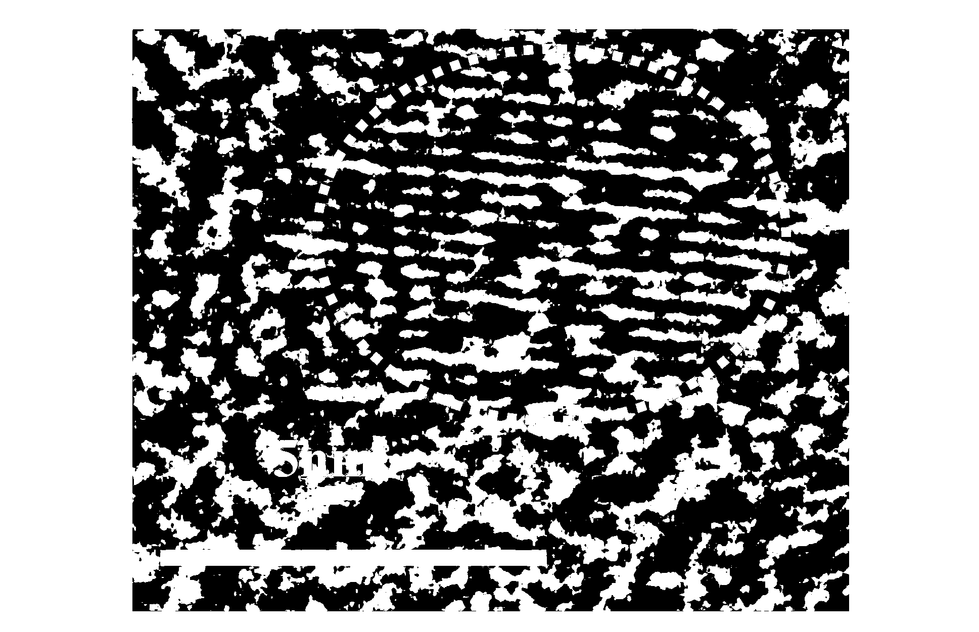 Silicon carbide quantum dot and preparation method thereof