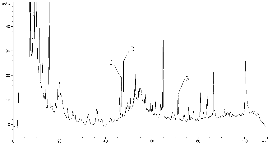 Functional bean sprout and production method thereof