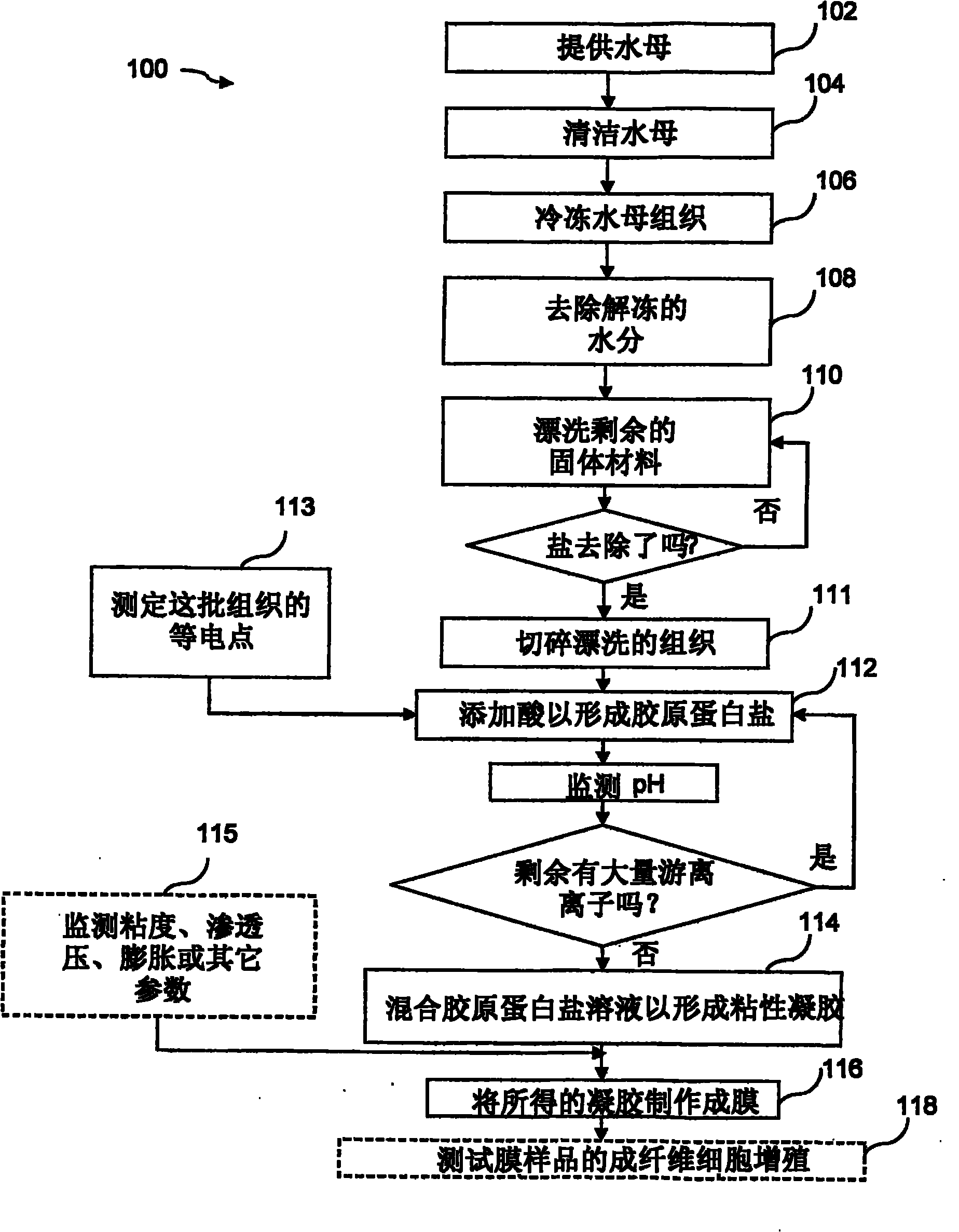 Colloidal collagen burn wound dressing produced from jellyfish