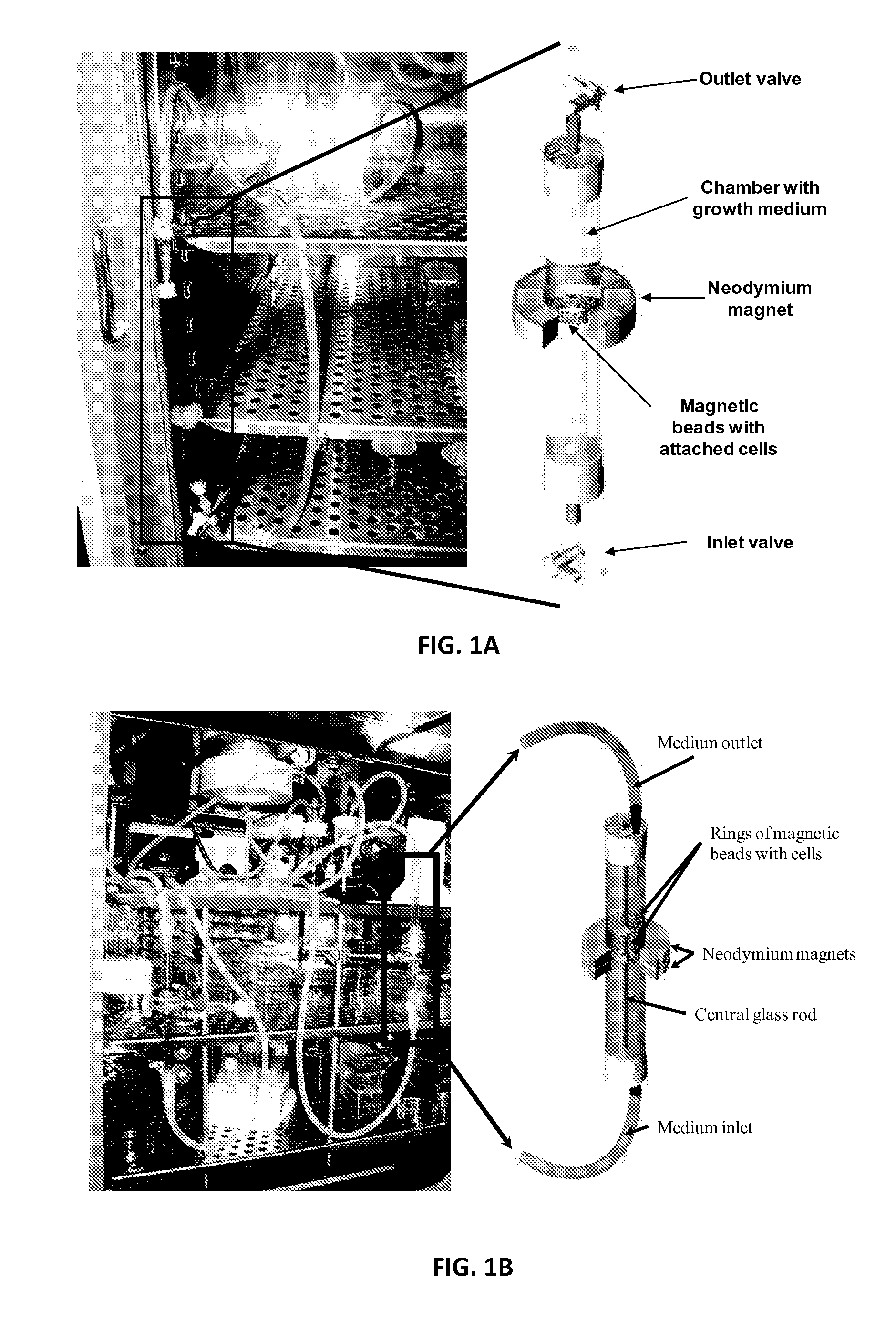 Continuous Flow Bioreactor for Magnetically Stabilized Three-Dimensional Tissue Culture