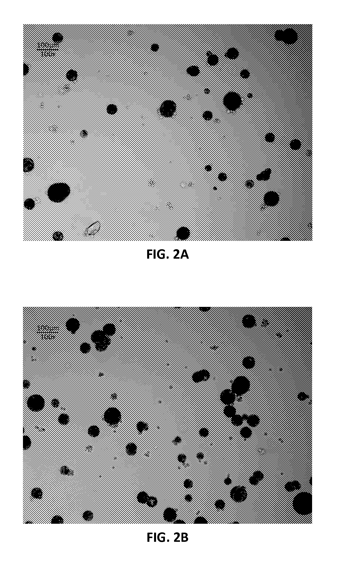 Continuous Flow Bioreactor for Magnetically Stabilized Three-Dimensional Tissue Culture