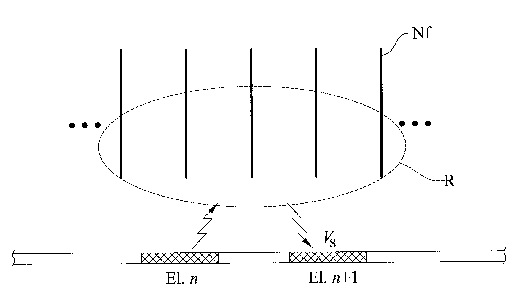 Method for analyzing nerve fiber distribution and measuring normalized evoked compound action electric potential