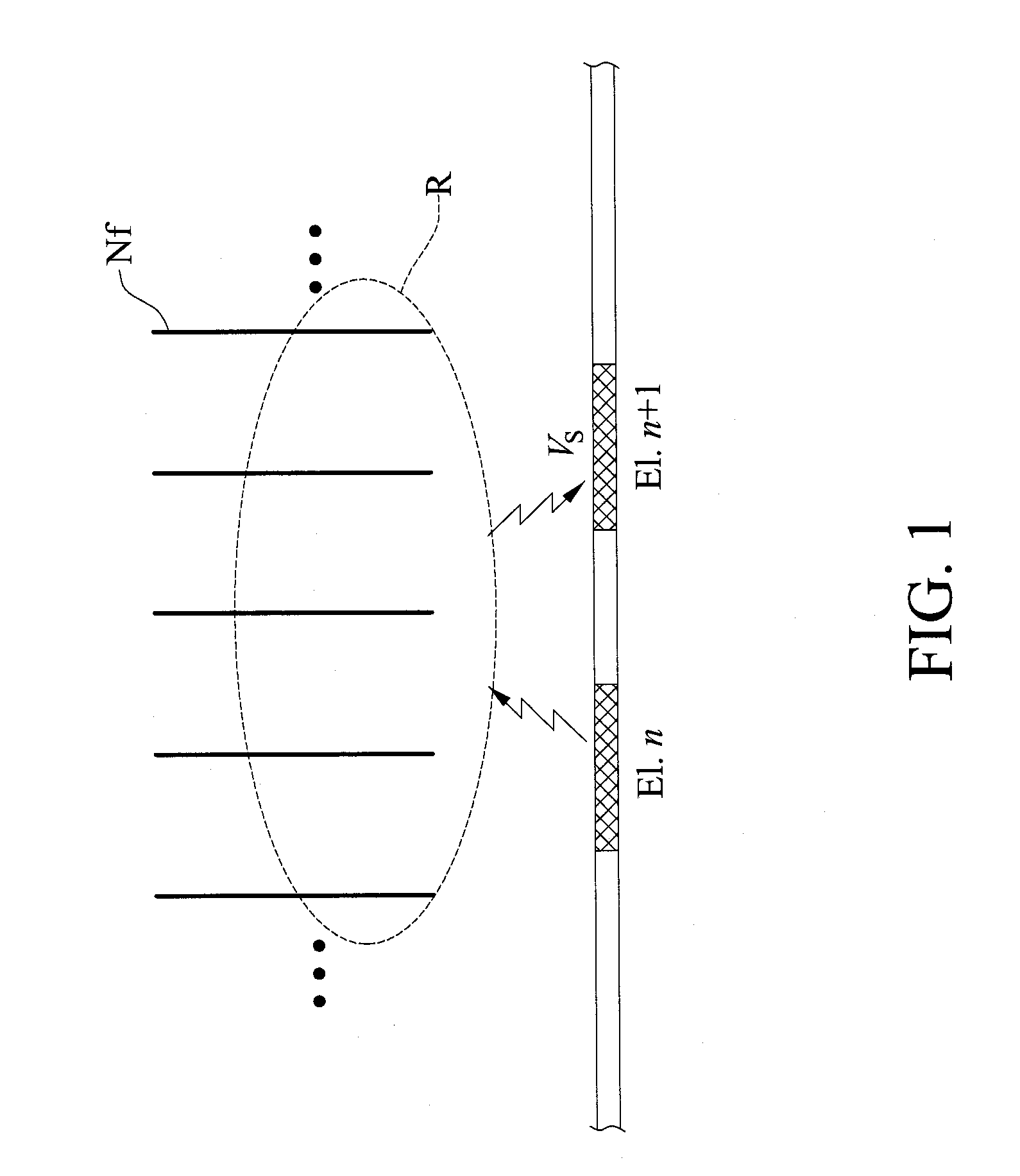 Method for analyzing nerve fiber distribution and measuring normalized evoked compound action electric potential