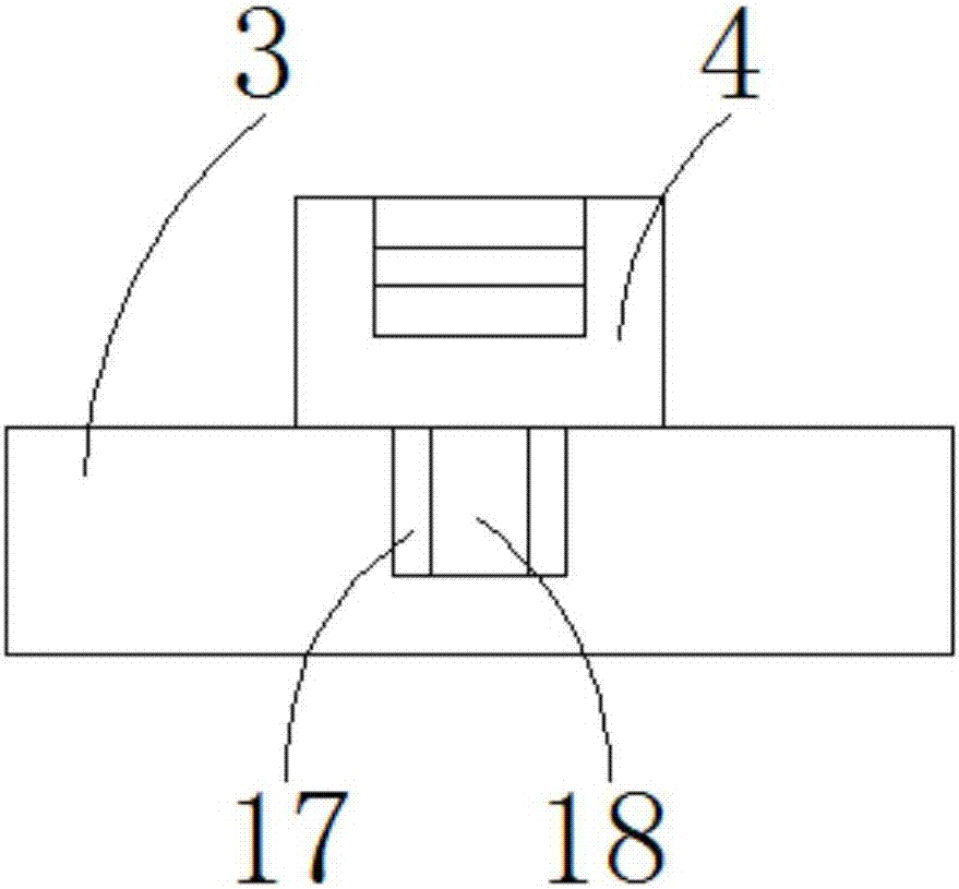 Device for supporting, protection and fixation of nursery stock