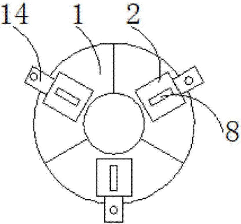 Device for supporting, protection and fixation of nursery stock