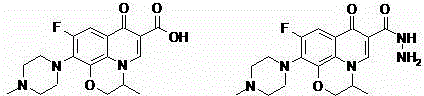 A kind of ofloxacin (rhodanine unsaturated ketone) amide derivative and its preparation method and application