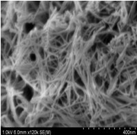 Method for preparing tungsten oxide filled phthalic acid nano tube