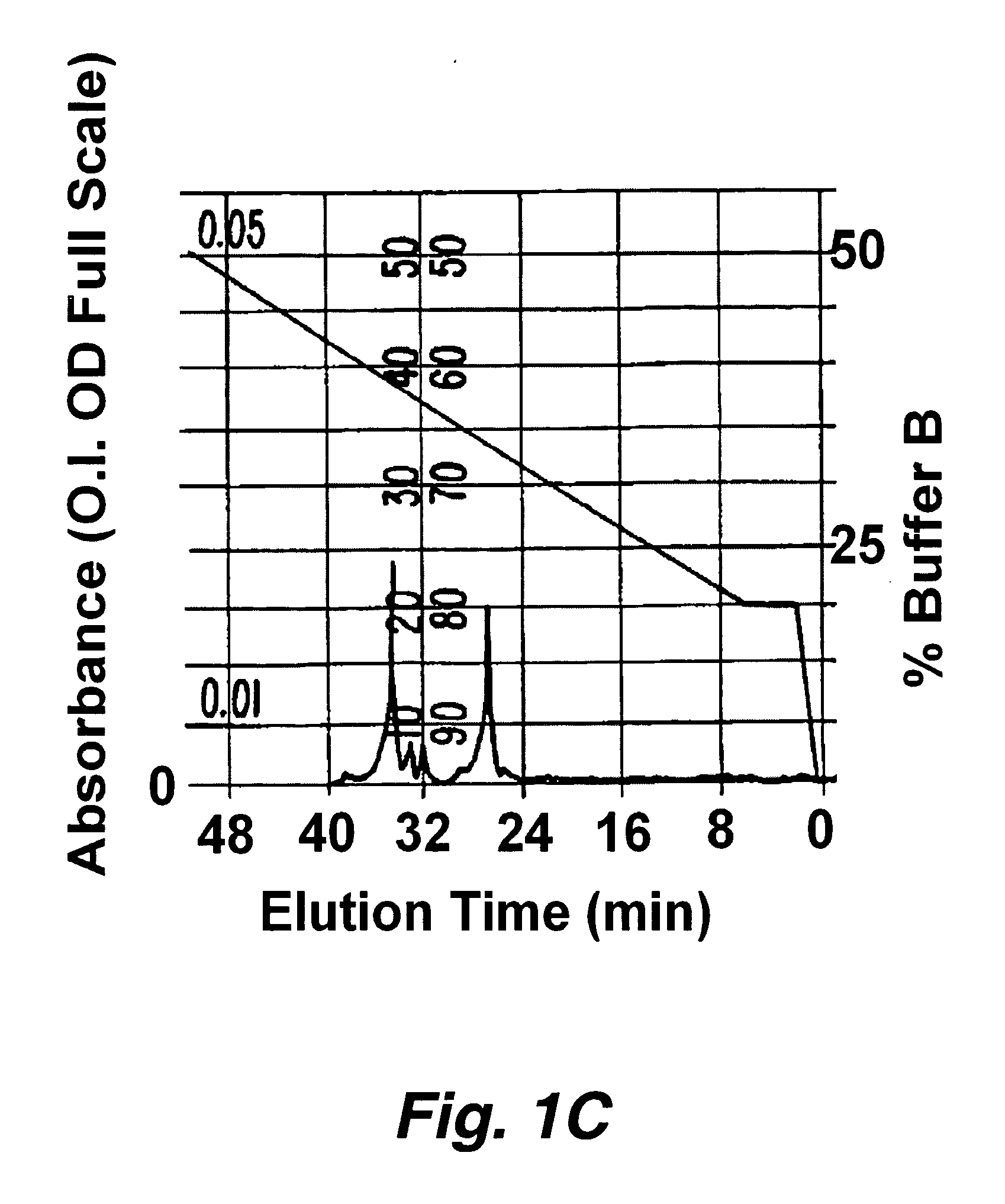 Homo-doubly labeled compositions for the detection of enzyme activity in biological samples