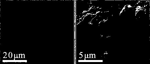 Preparation method of ordered nano-array nitrogen-sulfur double-doped compound carbon rod material and lithium-sulfur battery