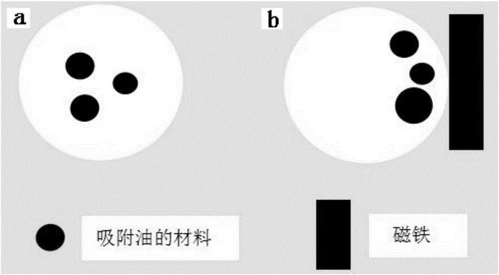 Magnetic nanoscale oil absorption material as well as preparation method and application thereof