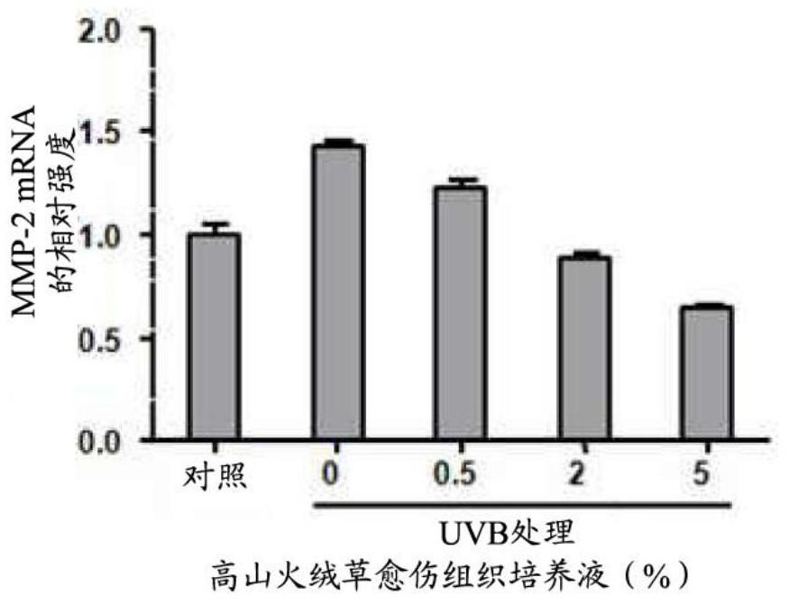 Skin external preparation composition containing alpine edelweiss plant cell culture extract and its manufacturing method