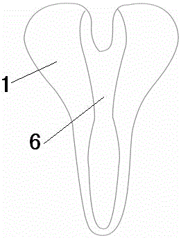 Bicycle saddle with spring shock absorbers