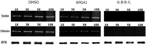 Bruton's tyrosine kinase inhibitor