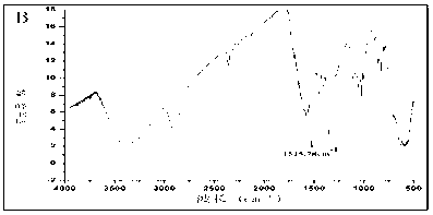 Method for screening compound with lipase inhibition activity by magnetic bead separation and application of method