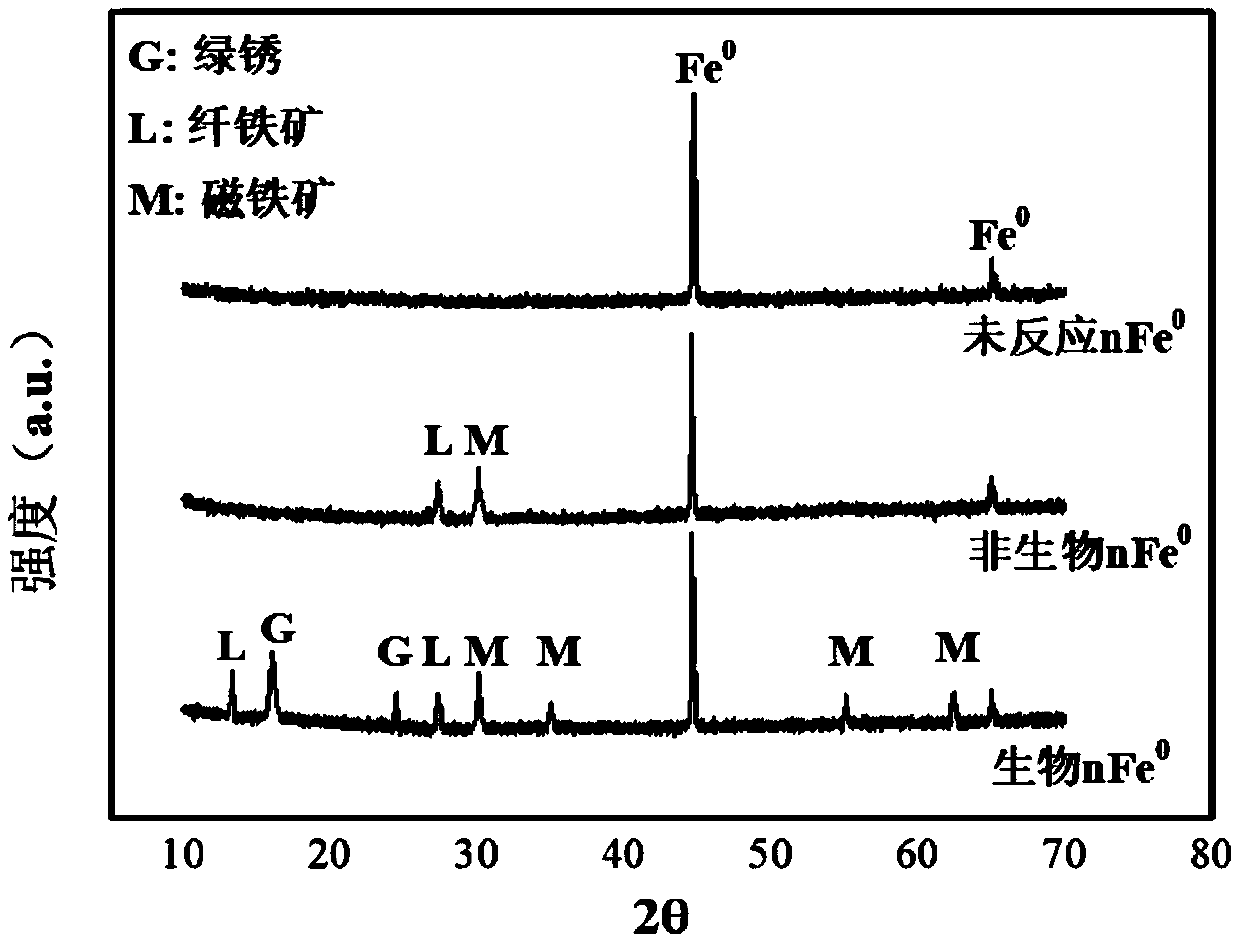 Restoration agent for chromium-contaminated soil and restoration method thereof