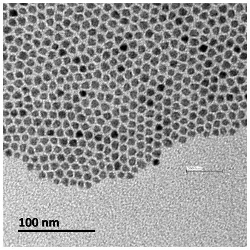 Core-shell quantum dot, quantum dot light emitting diode, quantum dot composition and display device