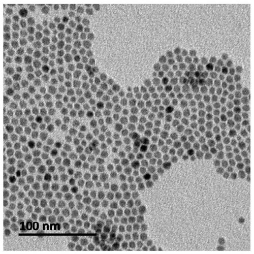 Core-shell quantum dot, quantum dot light emitting diode, quantum dot composition and display device