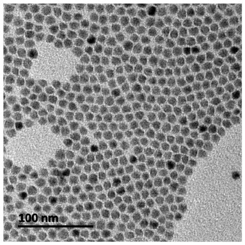 Core-shell quantum dot, quantum dot light emitting diode, quantum dot composition and display device