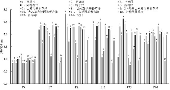 Nucleic acid aptamer capable of being combined with prometryn and application of nucleic acid aptamer